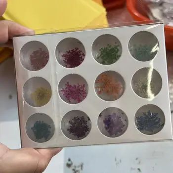 3D украшения для ногтей из сушеных цветов, настоящие наклейки из сушеных цветов, амулеты 