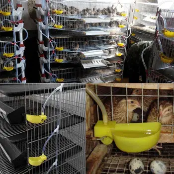 Автоматическая поилка для птиц, перепелов, Удобная чашка для кормления голубей, цыплят, практичная поилка, аксессуары для клеток, товары для домашних животных