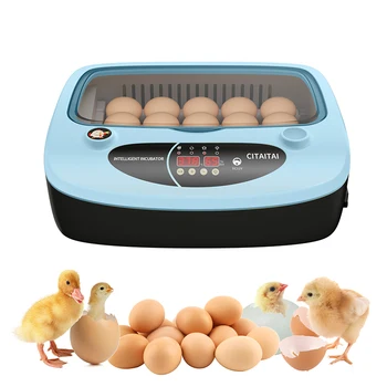 Инкубатор на 15 яиц Автоматический Брудер для гусей, уток, перепелов, голубей, птицы, машина для инкубации яиц, Автоматический Инкубатор, Сельскохозяйственный инструмент