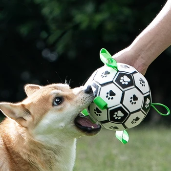 Интерактивная футбольная игрушка для собак, дрессировка на открытом воздухе, футбольные игрушки для домашних собак, Игрушка для укуса, Жевательная игрушка для собак Среднего размера, игрушки для собак с мячом