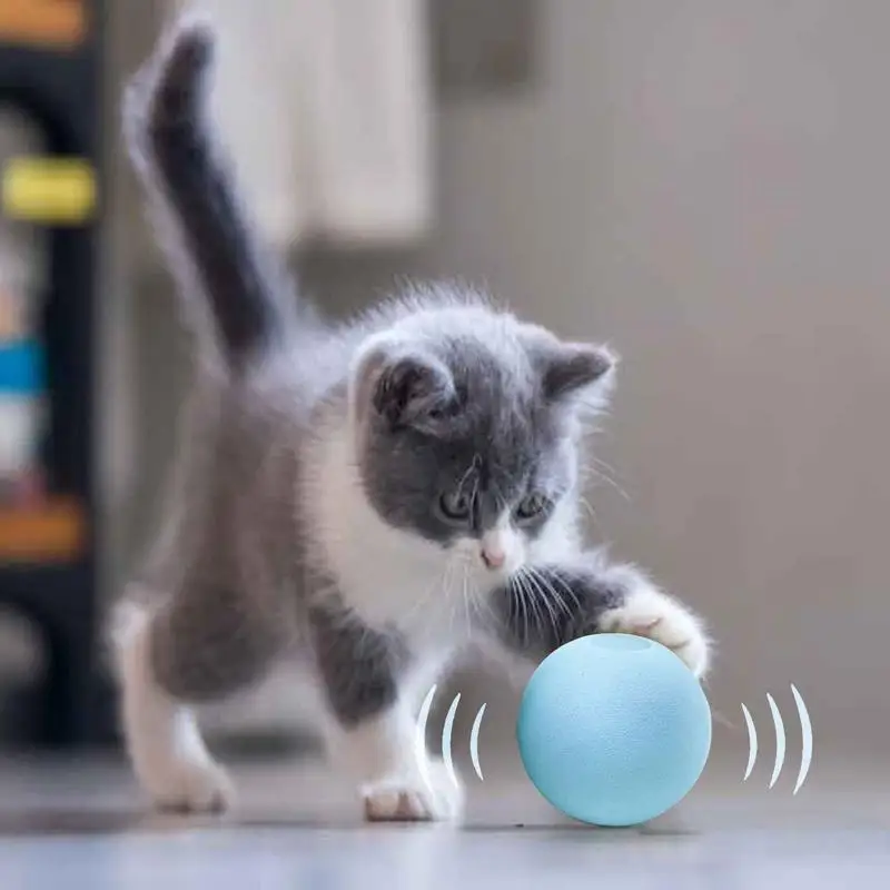 Интерактивный мяч, умные игрушки для кошек, Кошачья мята, игрушка для дрессировки кошек, Питомец, играющий в мяч, питомец, Пищащие принадлежности, товары для кошек, Котенок 3