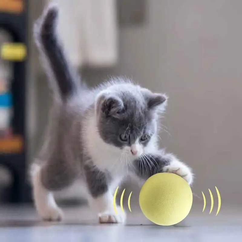Интерактивный мяч, умные игрушки для кошек, Кошачья мята, игрушка для дрессировки кошек, Питомец, играющий в мяч, питомец, Пищащие принадлежности, товары для кошек, Котенок 4
