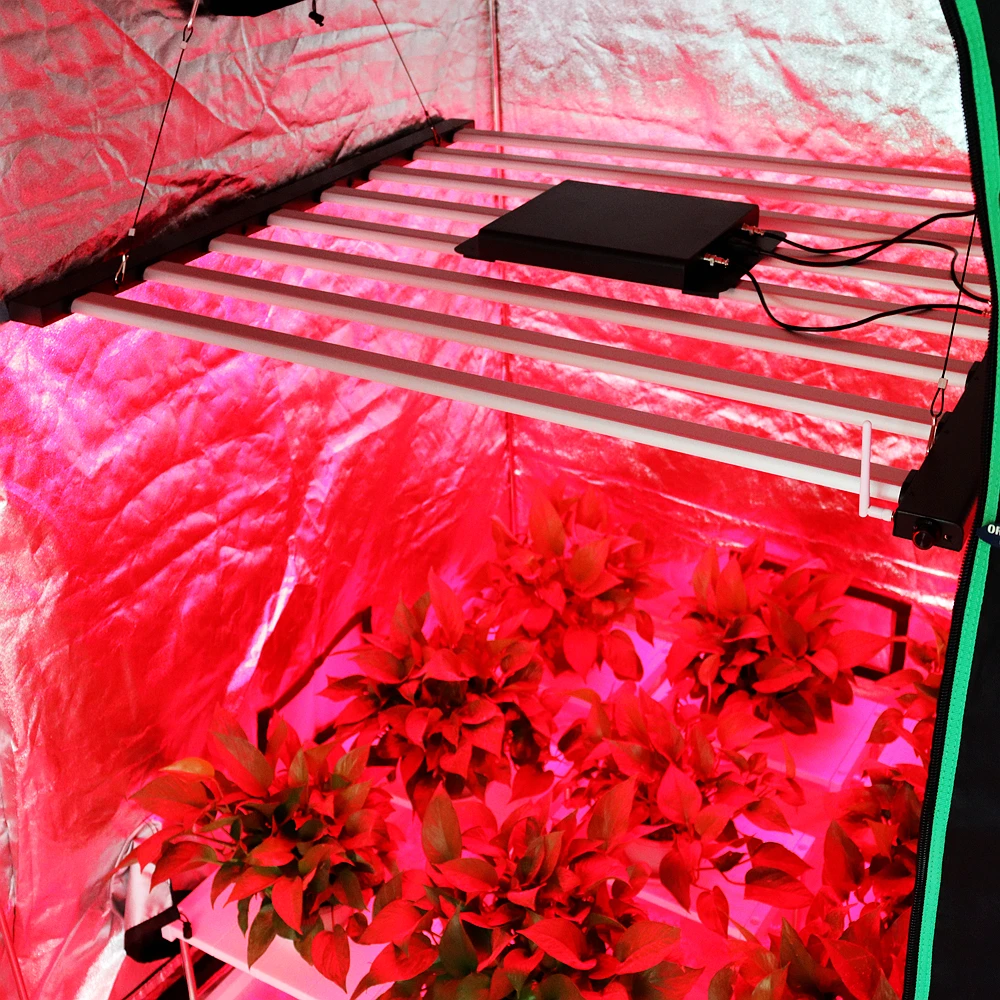 Полная теплица, Гидропоника, Наборы для выращивания рассады в помещении, Полный спектр светодиодов мощностью 500 Вт, свет для выращивания 300 Вт, 700 Вт 2