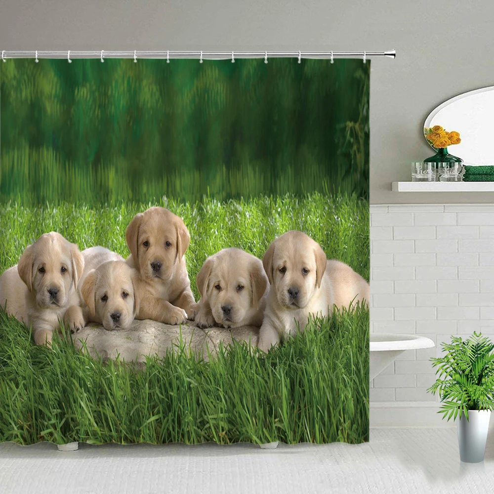 Комплекты занавесок для душа с милыми животными, кошками и собаками, 3d Водонепроницаемые занавески для детской ванной комнаты из полиэстеровой ткани, декор для домашней ванной комнаты с крючками 1